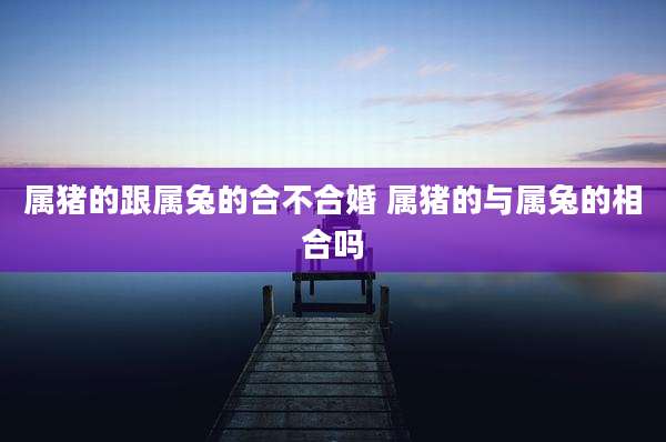 属猪的跟属兔的合不合婚 属猪的与属兔的相合吗