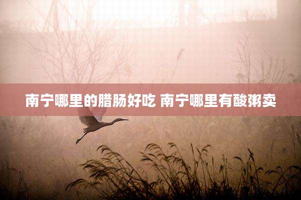 南宁哪里的腊肠好吃 南宁哪里有酸粥卖