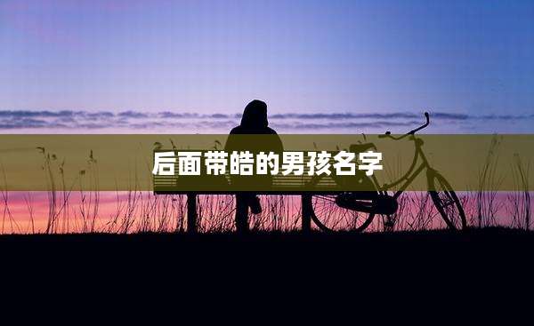 后面带皓的男孩名字