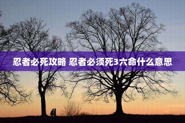 忍者必死攻略 忍者必须死3六命什么意思