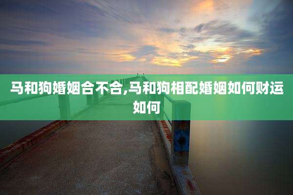 马和狗婚姻合不合,马和狗相配婚姻如何财运如何