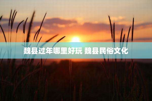 魏县过年哪里好玩 魏县民俗文化
