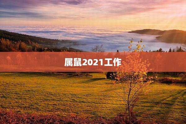 属鼠2021工作