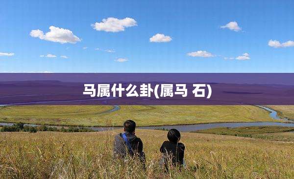 马属什么卦(属马 石)