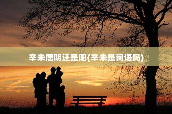 辛未属阴还是阳(辛未是词语吗)