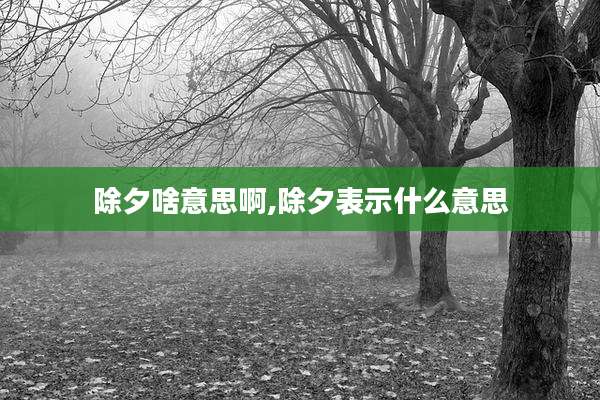 除夕啥意思啊,除夕表示什么意思