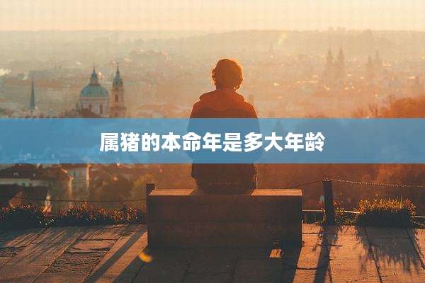 属猪的本命年是多大年龄
