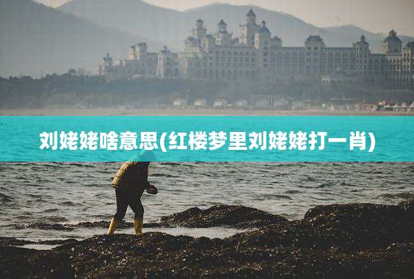 刘姥姥啥意思(红楼梦里刘姥姥打一肖)