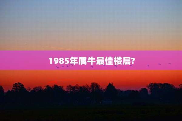 1985年属牛最佳楼层?