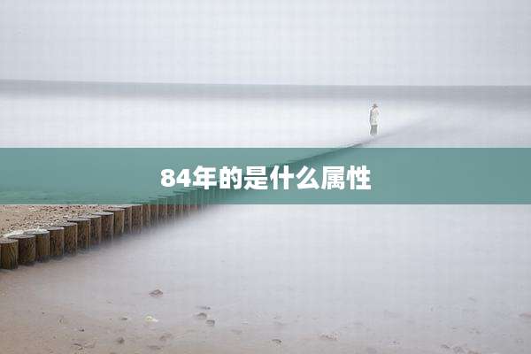 84年的是什么属性