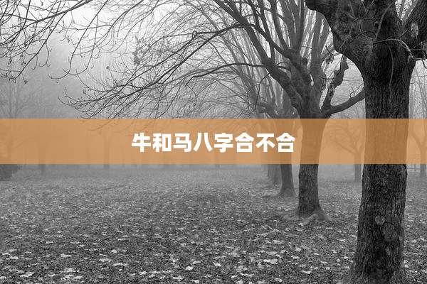 牛和马八字合不合