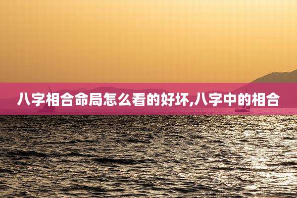 八字相合命局怎么看的好坏,八字中的相合