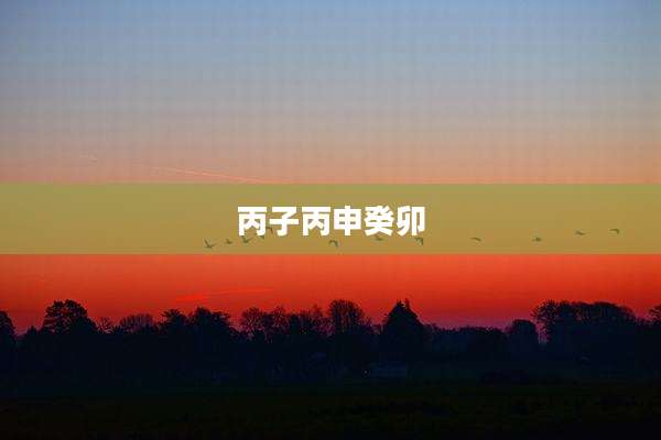 丙子丙申癸卯