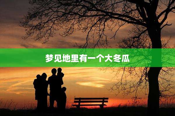 梦见地里有一个大冬瓜