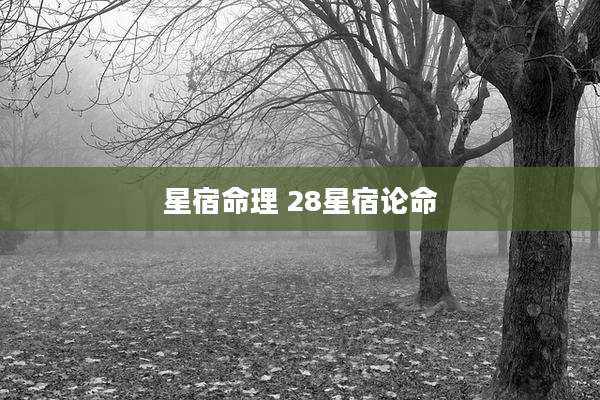 星宿命理 28星宿论命