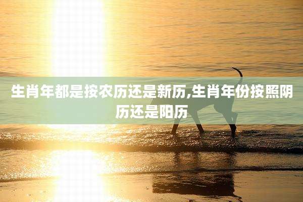生肖年都是按农历还是新历,生肖年份按照阴历还是阳历