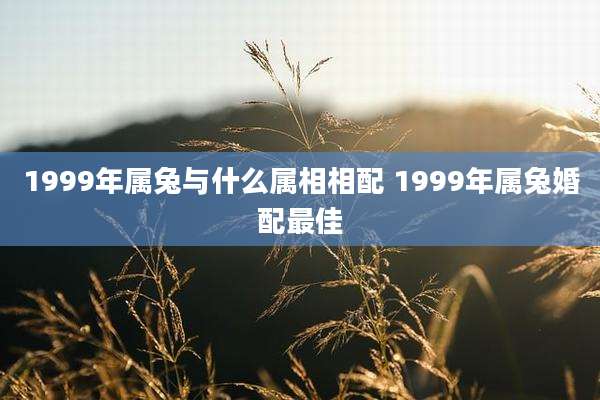 1999年属兔与什么属相相配 1999年属兔婚配最佳