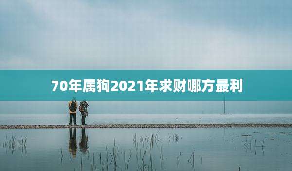 70年属狗2021年求财哪方最利