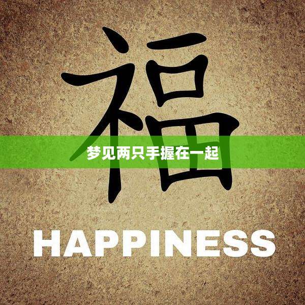 梦见两只手握在一起