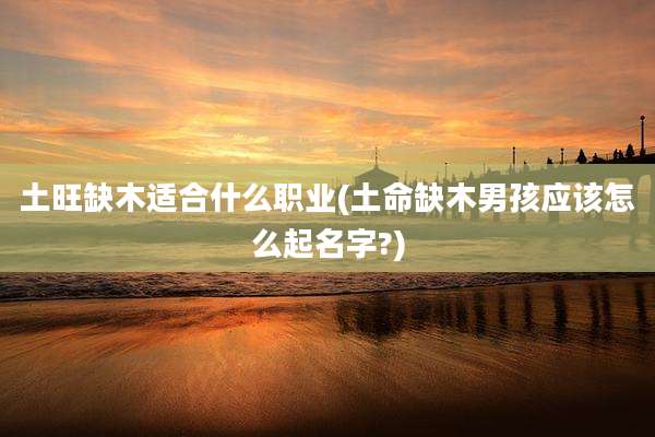 土旺缺木适合什么职业(土命缺木男孩应该怎么起名字?)