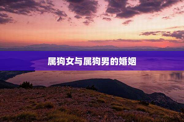 属狗女与属狗男的婚姻