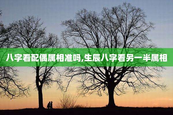 八字看配偶属相准吗,生辰八字看另一半属相