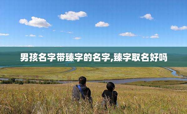 男孩名字带臻字的名字,臻字取名好吗