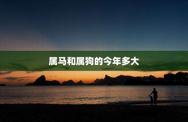属马和属狗的今年多大