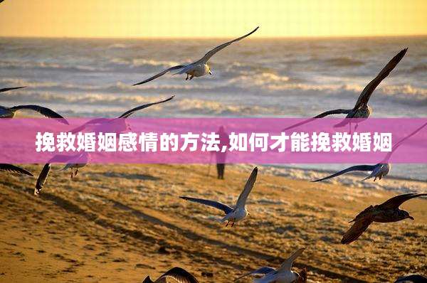 挽救婚姻感情的方法,如何才能挽救婚姻