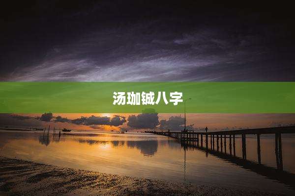 汤珈铖八字