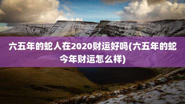 六五年的蛇人在2020财运好吗(六五年的蛇今年财运怎么样)