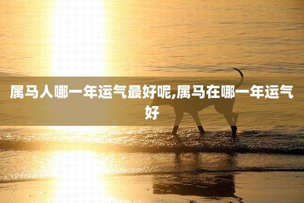 属马人哪一年运气最好呢,属马在哪一年运气好