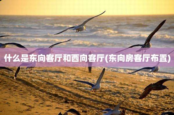什么是东向客厅和西向客厅(东向房客厅布置)