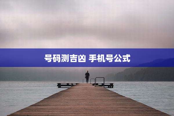 号码测吉凶 手机号公式