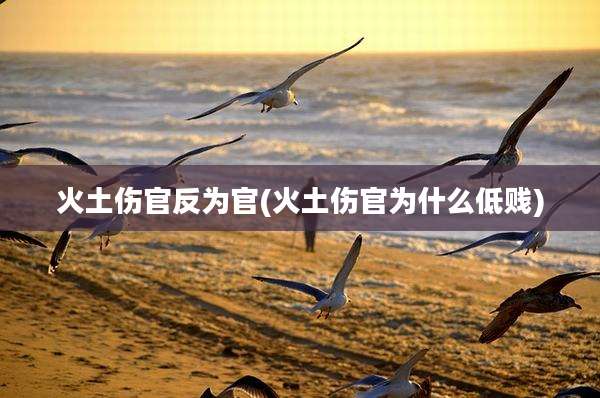 火土伤官反为官(火土伤官为什么低贱)