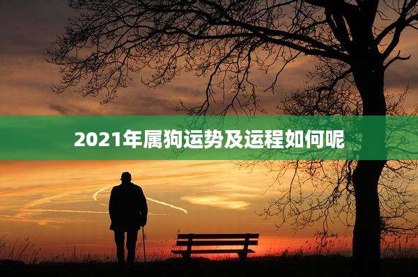2021年属狗运势及运程如何呢