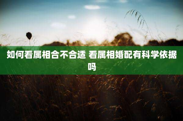 如何看属相合不合适 看属相婚配有科学依据吗