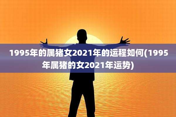 1995年的属猪女2021年的运程如何(1995年属猪的女2021年运势)