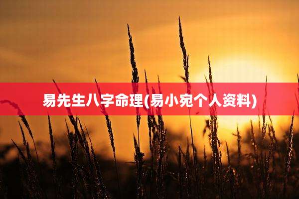 易先生八字命理(易小宛个人资料)