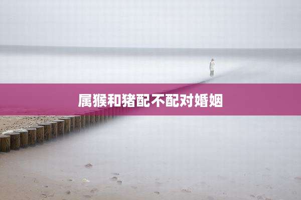 属猴和猪配不配对婚姻