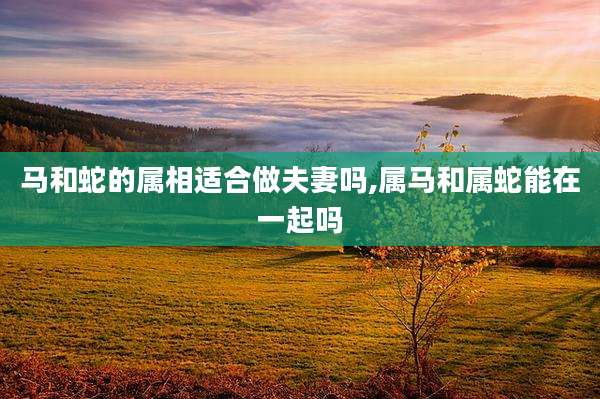 马和蛇的属相适合做夫妻吗,属马和属蛇能在一起吗