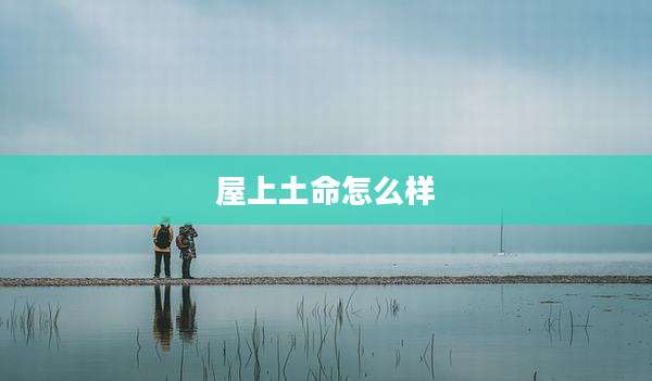 屋上土命怎么样