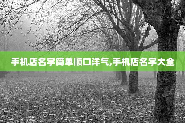 手机店名字简单顺口洋气,手机店名字大全
