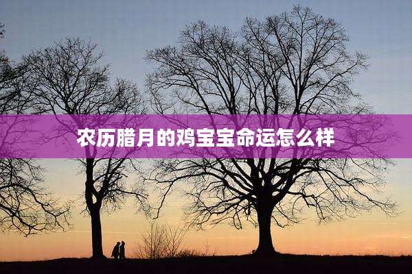 农历腊月的鸡宝宝命运怎么样