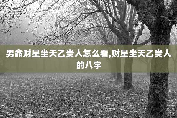 男命财星坐天乙贵人怎么看,财星坐天乙贵人的八字