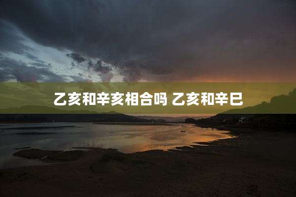 乙亥和辛亥相合吗 乙亥和辛巳