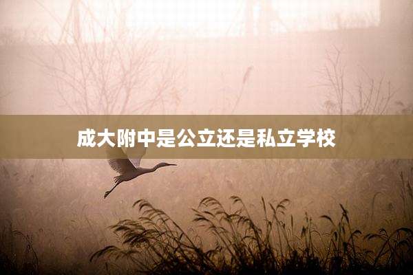 成大附中是公立还是私立学校