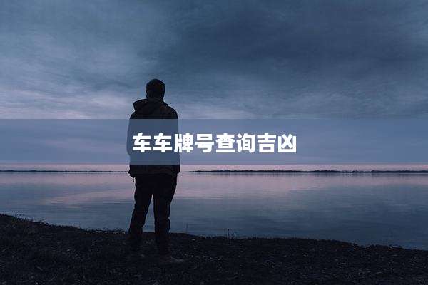 车车牌号查询吉凶