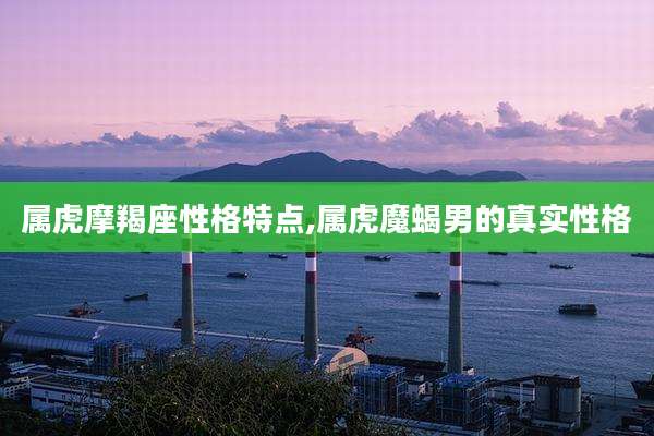 属虎摩羯座性格特点,属虎魔蝎男的真实性格