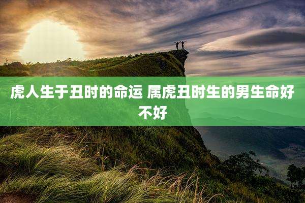 虎人生于丑时的命运 属虎丑时生的男生命好不好